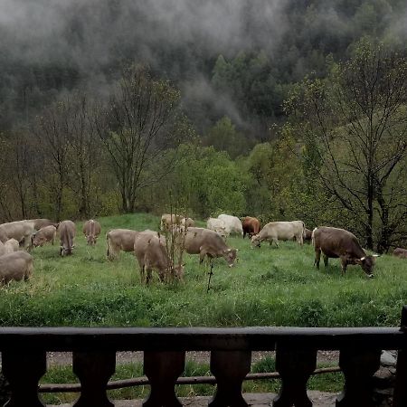 Can Serraima, Casa Rural A Prop De La Cerdanya Neva Zewnętrze zdjęcie
