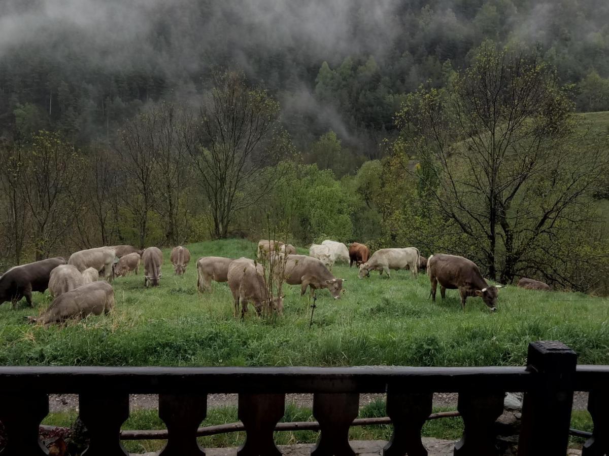 Can Serraima, Casa Rural A Prop De La Cerdanya Neva Zewnętrze zdjęcie